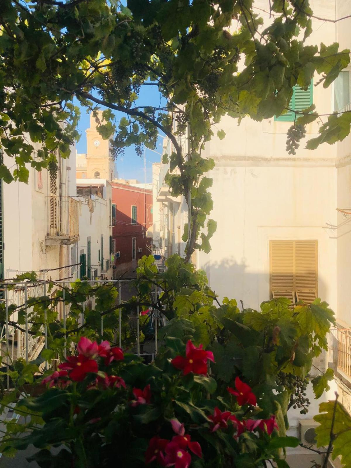 Appartamento Novecento Monopoli Esterno foto